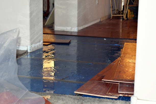 Professional Flood Damage Restoration technician working in Loveland, CO